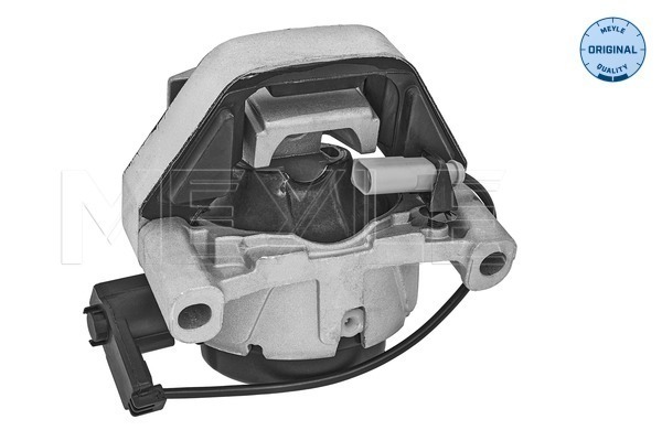 Sospensione, Motore - 100 199 0316 MEYLE