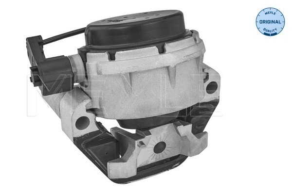 Engine Mounting - 100 199 0316 MEYLE