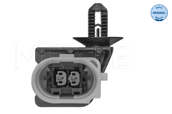 Engine Mounting - 100 199 0316 MEYLE
