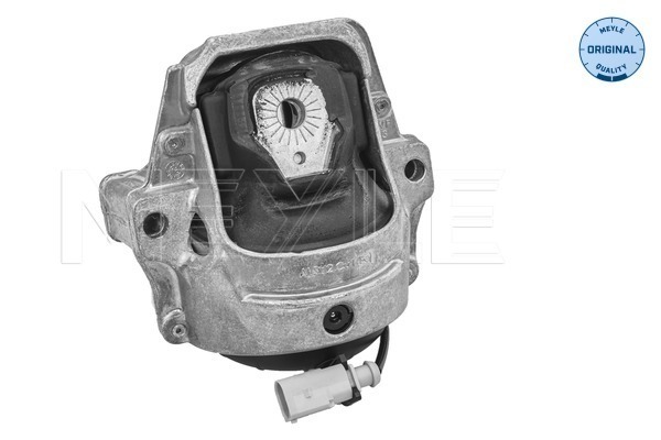 Sospensione, Motore - 100 199 1006 MEYLE