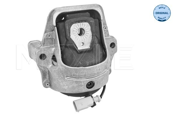 Sospensione, Motore - 100 199 1008 MEYLE