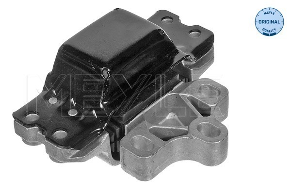 Sospensione, Motore - 100 199 1095 MEYLE