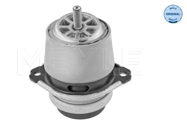 Sospensione, Motore - 100 199 1188 MEYLE