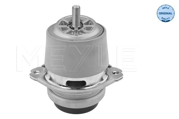 Sospensione, Motore - 100 199 1190 MEYLE