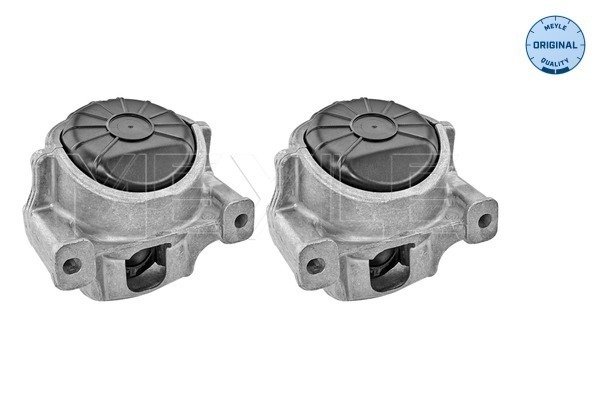 Engine Mounting - 100 199 1401/S MEYLE