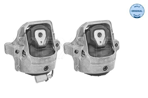 Sospensione, Motore - 100 199 1403/S MEYLE