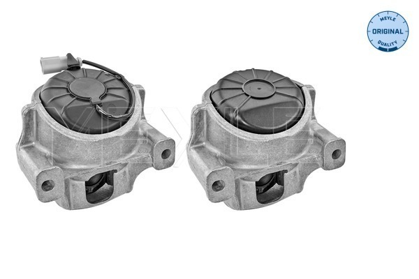 Engine Mounting - 100 199 1403/S MEYLE