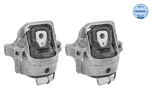Sospensione, Motore - 100 199 1405/S MEYLE