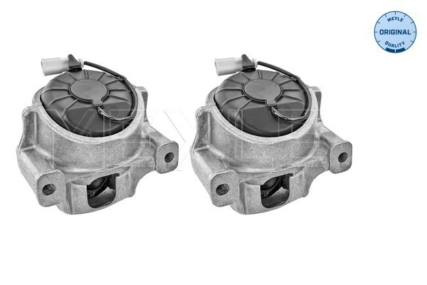 Engine Mounting - 100 199 1407/S MEYLE