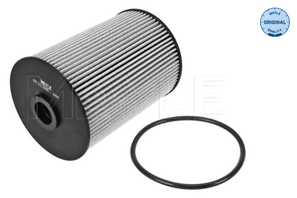 Filtro carburante - 100 323 0005 MEYLE