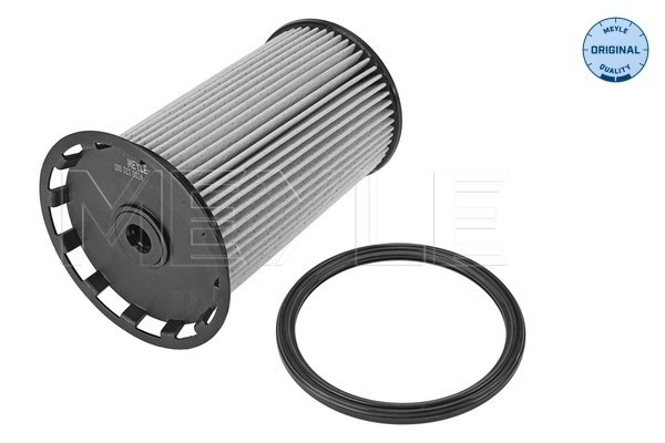 Fuel filter - 100 323 0024 MEYLE