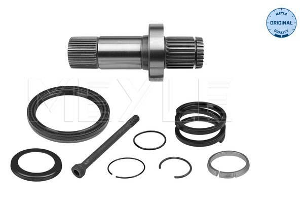 Stub Axle, differential - 100 498 0242 MEYLE