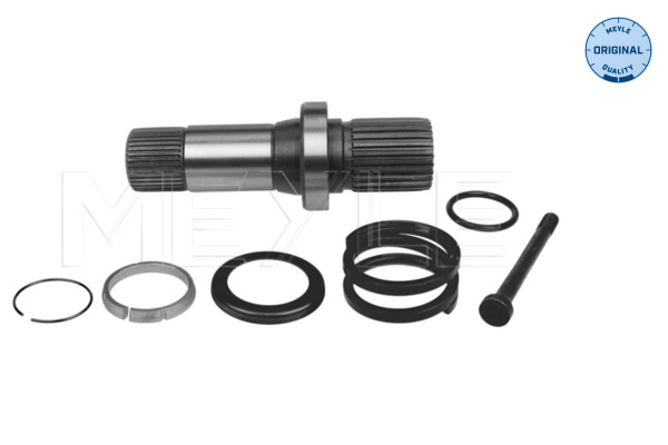 Stub Axle, differential - 100 498 0243 MEYLE