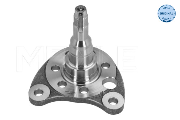 Steering Knuckle, wheel suspension - 100 501 0012 MEYLE