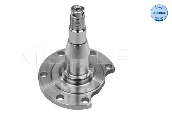 Steering Knuckle, wheel suspension - 100 501 0031 MEYLE