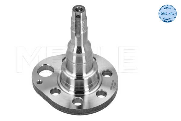 Steering Knuckle, wheel suspension - 100 501 0036 MEYLE