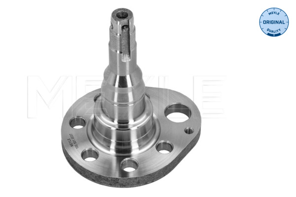 Steering Knuckle, wheel suspension - 100 501 0037 MEYLE