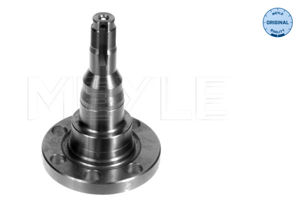 Steering Knuckle, wheel suspension - 100 501 1010 MEYLE