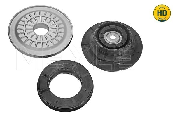 Repair Kit, suspension strut - 100 641 1002/HD MEYLE