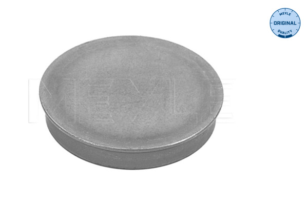 Protection Lid, wheel hub - 100 752 0006 MEYLE