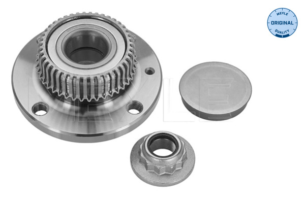 Wheel Hub - 100 752 0007 MEYLE