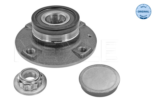 Wheel Hub - 100 752 0010 MEYLE