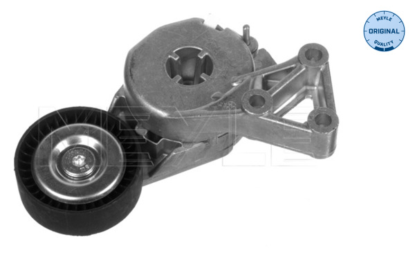 Tendicinghia, Cinghia Poly-V - 100 903 0000 MEYLE