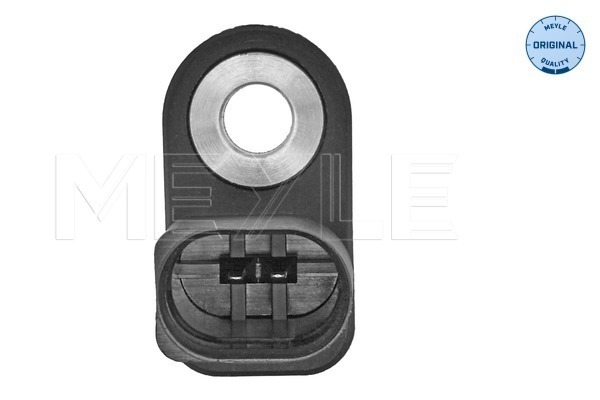 Sensor, intake air temperature - 100 905 0024 MEYLE