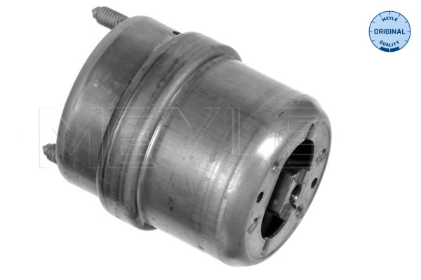 Engine Mounting - 100 199 0075 MEYLE