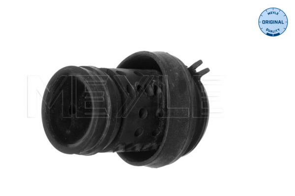 Lagerung, Motor - 100 199 0036 MEYLE