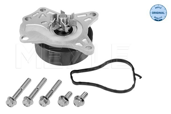 Water Pump - 11-13 220 0019 MEYLE
