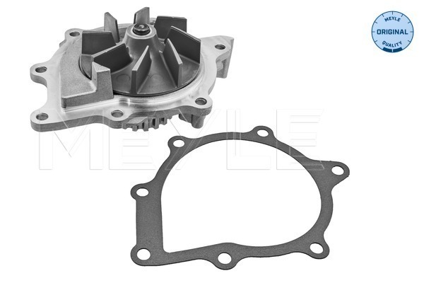 Water Pump - 11-13 220 0021 MEYLE