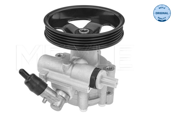 Hydraulic Pump, steering system - 11-14 631 0013 MEYLE