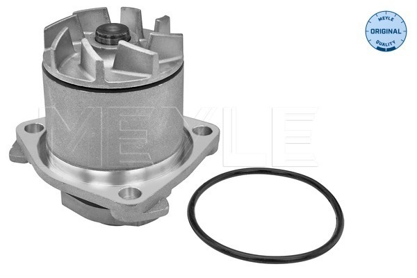 Water Pump - 113 012 0005 MEYLE