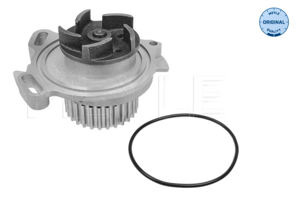 Water Pump - 113 012 0006 MEYLE