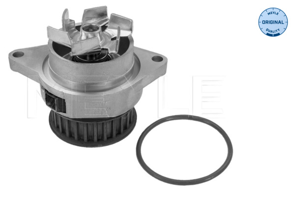 Water Pump - 113 012 0024 MEYLE