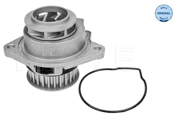 Water Pump - 113 012 0035 MEYLE
