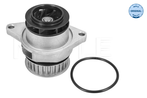 Water Pump - 113 012 0049 MEYLE