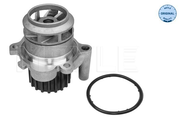 Water Pump - 113 012 0059 MEYLE