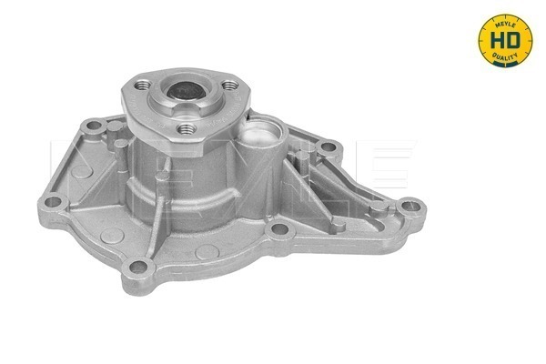 Water Pump - 113 220 0006/HD MEYLE