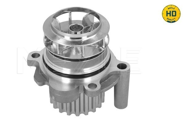 Water Pump - 113 220 0021/HD MEYLE