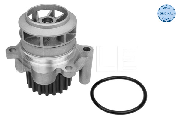 Water Pump - 113 220 0021 MEYLE