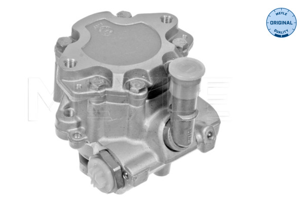 Hydraulic Pump, steering system - 114 631 0009 MEYLE