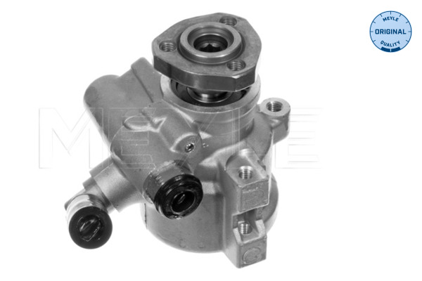 Hydraulic Pump, steering system - 114 631 0013 MEYLE