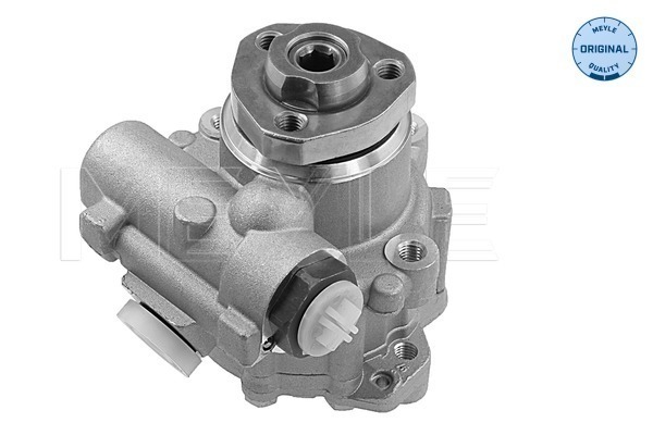Hydraulic Pump, steering system - 114 631 0015 MEYLE