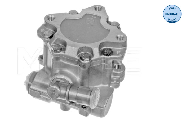 Hydraulic Pump, steering system - 114 631 0019 MEYLE
