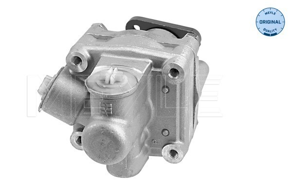 Hydraulic Pump, steering system - 114 631 0031 MEYLE