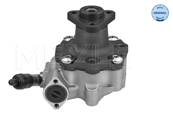 Hydraulic Pump, steering system - 114 631 0035 MEYLE