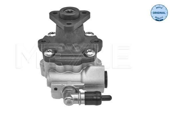 Hydraulic Pump, steering system - 114 631 0043 MEYLE