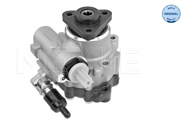 Hydraulic Pump, steering system - 114 631 0046 MEYLE